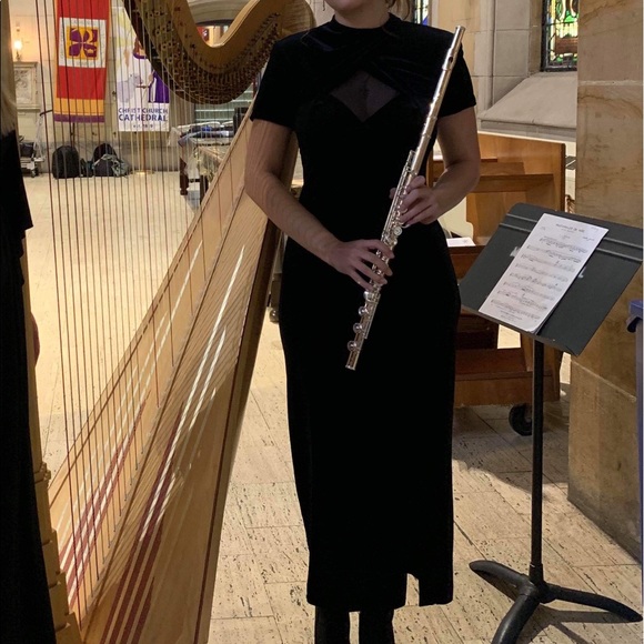 SL Fashions Black Velvet Floor Length Dress - Picture 3 of 8